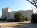 Castle Monzon de Campos