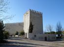 Castle Monzon de Campos