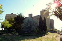 Castle Montealegre