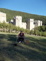 Monastery-fortress Manasija