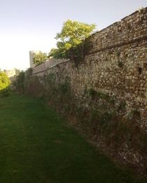 Fortress wall