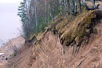 Finnish Gulf shore