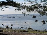 Rifovyj Island. Low tide