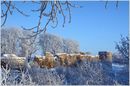 Fortress Koporje