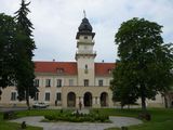 Castle and defensive type sinagogue